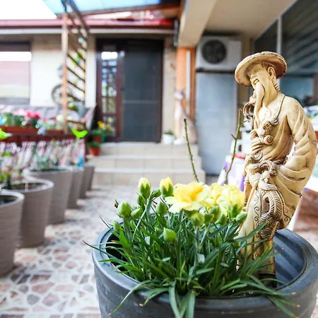 Madi - Close To Δωμάτια σε οικογενειακή κατοικία Κονστάντζα